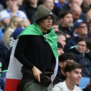 Brighton and Hove Albion v Wolverhampton Wanderers Premier League 26OCT24 Brighton and Hove Albion v Wolverhampton Wanderers Premier League 26OCT24