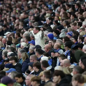 Brighton and Hove Albion v Wolverhampton Wanderers Premier League 26OCT24 Brighton and Hove Albion v Wolverhampton Wanderers Premier League 26OCT24