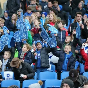 Brighton and Hove Albion vs. Birmingham City: Sky Bet Championship Showdown at American Express Community Stadium (November 28, 2015) Brighton and Hove Albion vs. Birmingham City: Sky Bet Championship Showdown at American Express Community Stadium (November 28, 2015)