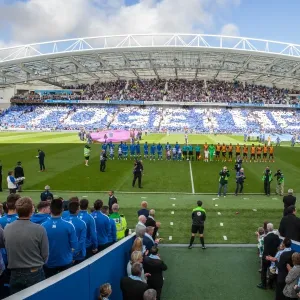 Brighton and Hove Albion vs. Hull City: Pre-Match Tribute - A Moment of Silence for Matt Grimstone and Jacob Schilt (12th September 2015) Brighton and Hove Albion vs. Hull City: Pre-Match Tribute - A Moment of Silence for Matt Grimstone and Jacob Schilt (12th September 2015)