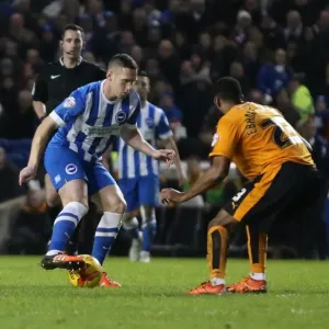 Brighton and Hove Albion vs. Wolverhampton Wanderers: Sky Bet Championship Clash at American Express Community Stadium (01.01.2016) Brighton and Hove Albion vs. Wolverhampton Wanderers: Sky Bet Championship Clash at American Express Community Stadium (01.01.2016)