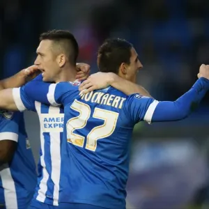 Brighton and Hove Albion vs. Huddersfield Town: Sky Bet Championship Showdown at American Express Community Stadium (January 23, 2016) Brighton and Hove Albion vs. Huddersfield Town: Sky Bet Championship Showdown at American Express Community Stadium (January 23, 2016)