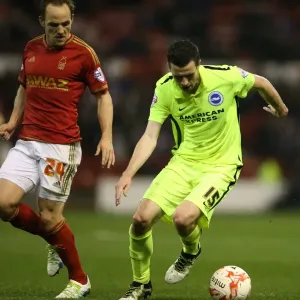 Brighton and Hove Albion vs. Nottingham Forest: Sky Bet Championship Showdown at City Ground (11 April 2016) Brighton and Hove Albion vs. Nottingham Forest: Sky Bet Championship Showdown at City Ground (11 April 2016)
