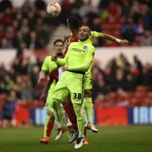 Brighton and Hove Albion vs. Nottingham Forest: Sky Bet Championship Showdown at City Ground (11 April 2016) Brighton and Hove Albion vs. Nottingham Forest: Sky Bet Championship Showdown at City Ground (11 April 2016)