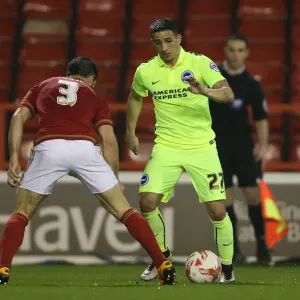 Brighton and Hove Albion vs. Nottingham Forest: Sky Bet Championship Showdown at City Ground (11 April 2016) Brighton and Hove Albion vs. Nottingham Forest: Sky Bet Championship Showdown at City Ground (11 April 2016)
