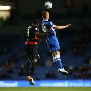 Brighton and Hove Albion vs. QPR: Intense Championship Clash at American Express Community Stadium (19APR16) Brighton and Hove Albion vs. QPR: Intense Championship Clash at American Express Community Stadium (19APR16)