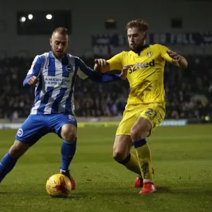Brighton and Hove Albion vs. Leeds United: EFL Sky Bet Championship Clash at American Express Community Stadium (December 9, 2016) Brighton and Hove Albion vs. Leeds United: EFL Sky Bet Championship Clash at American Express Community Stadium (December 9, 2016)