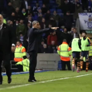 Brighton and Hove Albion vs. Newcastle United: A Tight Championship Clash at the American Express Community Stadium (28FEB17) Brighton and Hove Albion vs. Newcastle United: A Tight Championship Clash at the American Express Community Stadium (28FEB17)