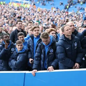 Brighton and Hove Albion vs. Wigan Athletic: A Fierce EFL Sky Bet Championship Clash at the American Express Community Stadium (17APR17) Brighton and Hove Albion vs. Wigan Athletic: A Fierce EFL Sky Bet Championship Clash at the American Express Community Stadium (17APR17)