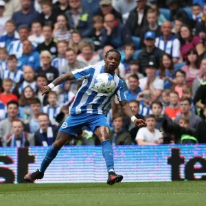 Brighton and Hove Albion vs. Wigan Athletic: A Tight Championship Clash at the American Express Community Stadium (17th April 2017) Brighton and Hove Albion vs. Wigan Athletic: A Tight Championship Clash at the American Express Community Stadium (17th April 2017)