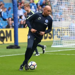 Brighton and Hove Albion vs. Everton: Premier League Battle at American Express Community Stadium (October 15, 2017) Brighton and Hove Albion vs. Everton: Premier League Battle at American Express Community Stadium (October 15, 2017)