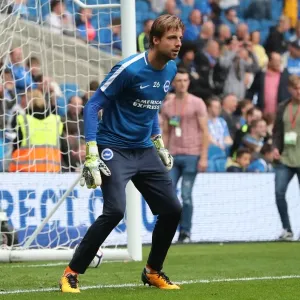 Brighton and Hove Albion vs. Everton: Premier League Clash at American Express Community Stadium (October 15, 2017) Brighton and Hove Albion vs. Everton: Premier League Clash at American Express Community Stadium (October 15, 2017)