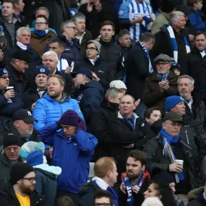 Brighton and Hove Albion vs. Bournemouth: A Premier League Battle at American Express Community Stadium (01JAN18) Brighton and Hove Albion vs. Bournemouth: A Premier League Battle at American Express Community Stadium (01JAN18)