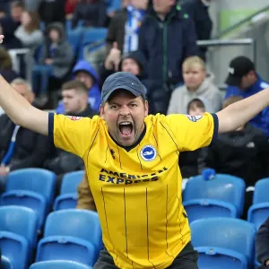Brighton and Hove Albion vs. Tottenham Hotspur: Premier League Showdown at American Express Community Stadium (22SEP18) Brighton and Hove Albion vs. Tottenham Hotspur: Premier League Showdown at American Express Community Stadium (22SEP18)