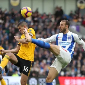 Brighton and Hove Albion vs. Wolverhampton Wanderers: A Premier League Showdown at American Express Community Stadium (October 26, 2018) Brighton and Hove Albion vs. Wolverhampton Wanderers: A Premier League Showdown at American Express Community Stadium (October 26, 2018)
