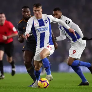 Brighton and Hove Albion vs. Leicester City: Premier League Clash at American Express Community Stadium (November 2018) Brighton and Hove Albion vs. Leicester City: Premier League Clash at American Express Community Stadium (November 2018)