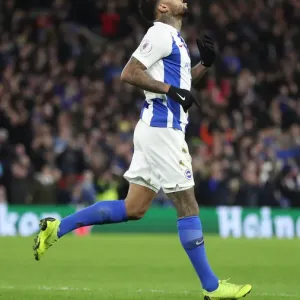 Brighton and Hove Albion vs. Everton: Premier League Showdown at American Express Community Stadium (29DEC18)