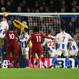 Brighton and Hove Albion vs. Liverpool: Premier League Showdown at American Express Community Stadium (January 9, 2019) Brighton and Hove Albion vs. Liverpool: Premier League Showdown at American Express Community Stadium (January 9, 2019)