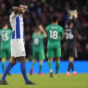 Brighton and Hove Albion vs. Watford: Premier League Showdown at American Express Community Stadium (02FEB19)