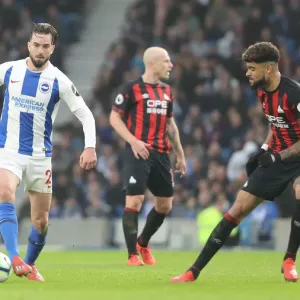 Brighton and Hove Albion vs. Huddersfield Town: Premier League Showdown at American Express Community Stadium (02MAR19) Brighton and Hove Albion vs. Huddersfield Town: Premier League Showdown at American Express Community Stadium (02MAR19)