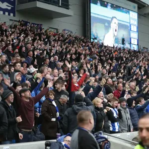 Brighton and Hove Albion vs. Huddersfield Town: Premier League Showdown at American Express Community Stadium (02MAR19) Brighton and Hove Albion vs. Huddersfield Town: Premier League Showdown at American Express Community Stadium (02MAR19)