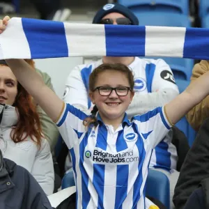 Brighton and Hove Albion vs. Bournemouth: Premier League Battle at American Express Community Stadium (13APR19) Brighton and Hove Albion vs. Bournemouth: Premier League Battle at American Express Community Stadium (13APR19)