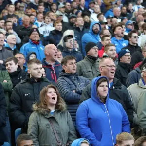 Brighton and Hove Albion vs. Bournemouth: Premier League Battle at American Express Community Stadium (13APR19) Brighton and Hove Albion vs. Bournemouth: Premier League Battle at American Express Community Stadium (13APR19)