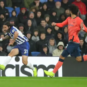 Brighton and Hove Albion vs. Everton: October 2019 Premier League Showdown at American Express Community Stadium Brighton and Hove Albion vs. Everton: October 2019 Premier League Showdown at American Express Community Stadium