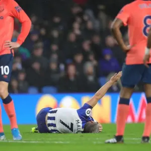 Brighton and Hove Albion vs. Everton: A Premier League Showdown at American Express Community Stadium (26OCT19) Brighton and Hove Albion vs. Everton: A Premier League Showdown at American Express Community Stadium (26OCT19)