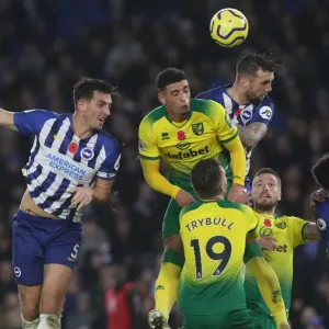 Brighton and Hove Albion vs. Norwich City: Premier League Showdown at American Express Community Stadium (November 2, 2019) Brighton and Hove Albion vs. Norwich City: Premier League Showdown at American Express Community Stadium (November 2, 2019)