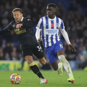 Brighton and Hove Albion vs. Newcastle United: Intense Premier League Clash at American Express Community Stadium (6th November 2021) Brighton and Hove Albion vs. Newcastle United: Intense Premier League Clash at American Express Community Stadium (6th November 2021)