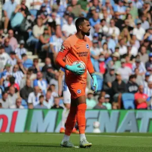 Brighton & Hove Albion vs. Leicester City: 2022/23 Premier League Showdown at American Express Community Stadium Brighton & Hove Albion vs. Leicester City: 2022/23 Premier League Showdown at American Express Community Stadium