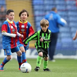 Brighton & Hove Albion vs. Crystal Palace: 2012-13 Season Away Game Highlights - Crystal Palace (01-12-2012)