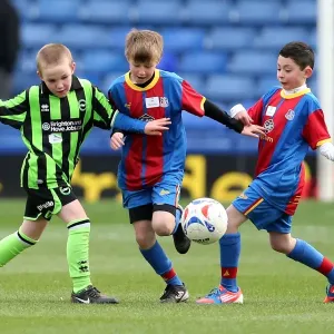 Brighton & Hove Albion vs. Crystal Palace: 2012-13 Season Away Game Highlights - Crystal Palace (December 1, 2012)