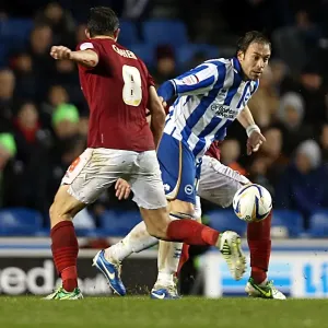 Brighton & Hove Albion vs. Nottingham Forest (15-12-2012): A Look Back at the 2012-13 Home Season - Nottingham Forest Game Brighton & Hove Albion vs. Nottingham Forest (15-12-2012): A Look Back at the 2012-13 Home Season - Nottingham Forest Game