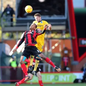 Brighton & Hove Albion vs. AFC Bournemouth: 2013-14 Away Game Brighton & Hove Albion vs. AFC Bournemouth: 2013-14 Away Game