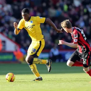 Brighton & Hove Albion vs AFC Bournemouth: 2013-14 Away Game Brighton & Hove Albion vs AFC Bournemouth: 2013-14 Away Game