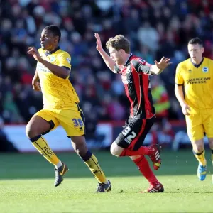 Brighton & Hove Albion vs. AFC Bournemouth: 2013-14 Away Game Brighton & Hove Albion vs. AFC Bournemouth: 2013-14 Away Game