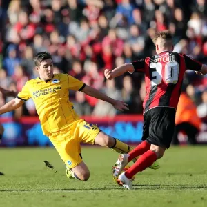 Brighton & Hove Albion vs. AFC Bournemouth: 2013-14 Away Game Brighton & Hove Albion vs. AFC Bournemouth: 2013-14 Away Game