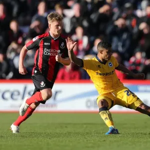 Brighton & Hove Albion vs. AFC Bournemouth: 2013-14 Away Game - November 30 Brighton & Hove Albion vs. AFC Bournemouth: 2013-14 Away Game - November 30