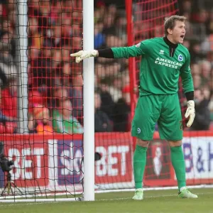 Brighton & Hove Albion vs. AFC Bournemouth: 2013-14 Away Game (November 30) Brighton & Hove Albion vs. AFC Bournemouth: 2013-14 Away Game (November 30)