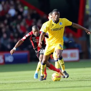 Brighton & Hove Albion vs. AFC Bournemouth: 2013-14 Season - Away Game Brighton & Hove Albion vs. AFC Bournemouth: 2013-14 Season - Away Game