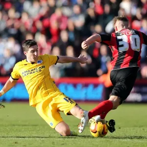 Brighton & Hove Albion vs. AFC Bournemouth (Away) - 30-11-2013: Season 2013-14, AFC Bournemouth Game Brighton & Hove Albion vs. AFC Bournemouth (Away) - 30-11-2013: Season 2013-14, AFC Bournemouth Game