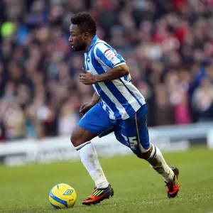 Brighton & Hove Albion vs Arsenal: 2012-13 Home Game