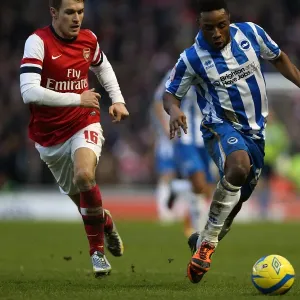 Brighton & Hove Albion vs. Arsenal (2012-13 Home Game)