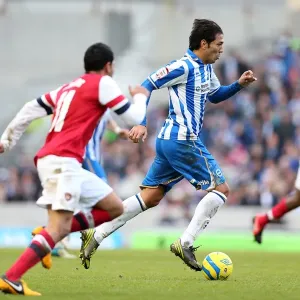 Brighton & Hove Albion vs Arsenal: 2012-13 Home Game