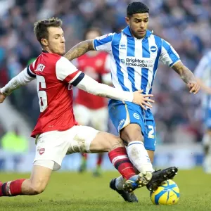 Brighton & Hove Albion vs. Arsenal: 2012-13 Home Game