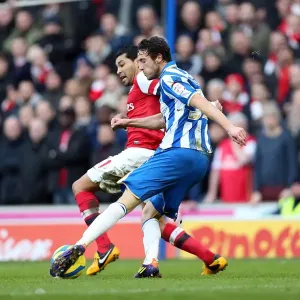 Brighton & Hove Albion vs Arsenal (2012-13 Home Game)