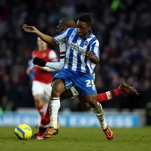 Brighton & Hove Albion vs Arsenal (2012-13): A Home Game Review - Arsenal's January Visit