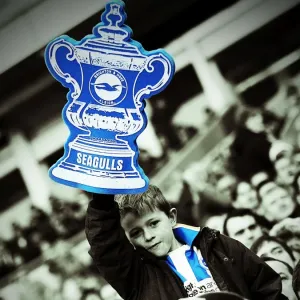 Brighton & Hove Albion vs Arsenal (2012-13): A Past Home Game
